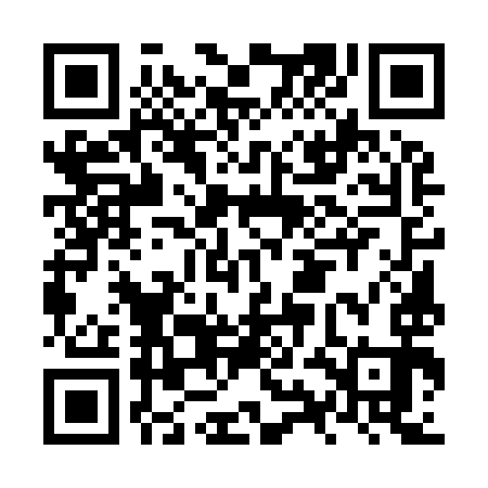 QR code for NYE993
