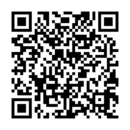 QR code for NYG919