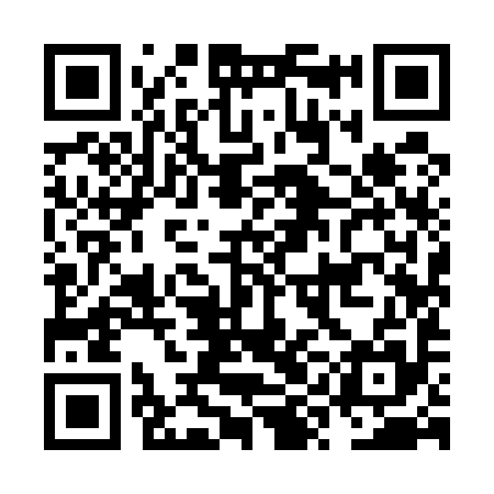 QR code for NYI595