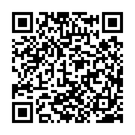 QR code for NYP733