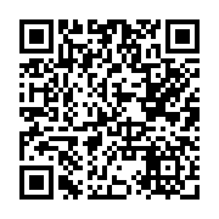 QR code for NYR387