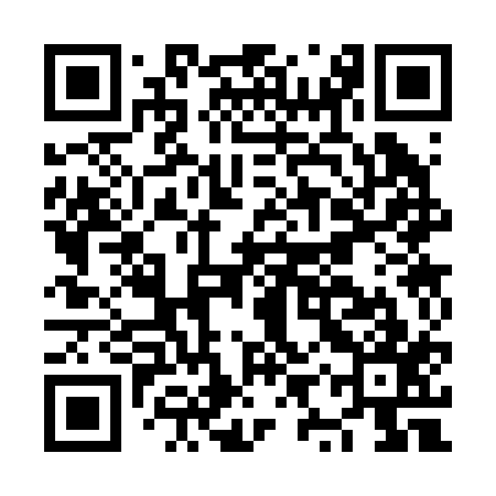 QR code for NYS217