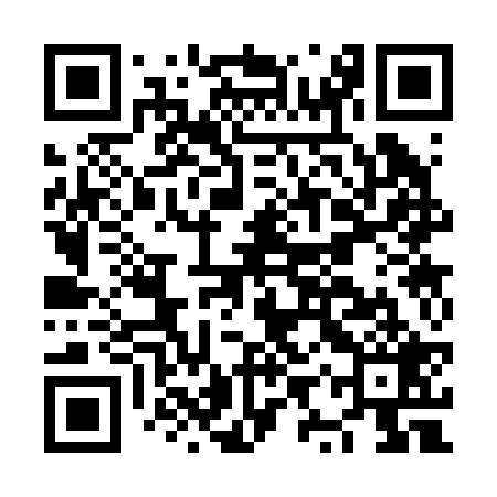 QR code for NYS229