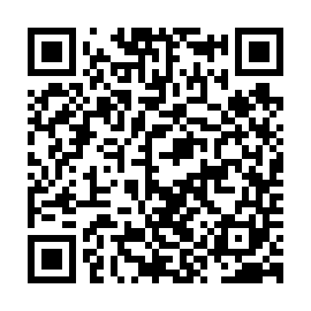 QR code for NYS641