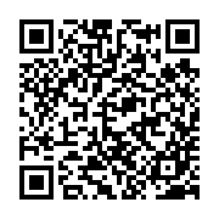 QR code for NYS687