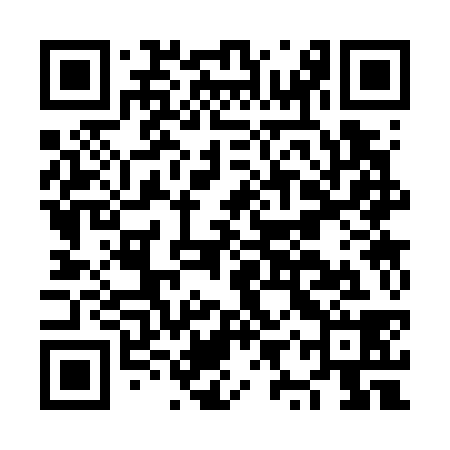 QR code for NYS738