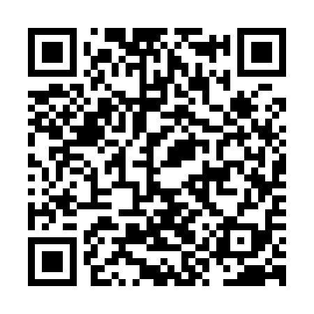 QR code for NYS919
