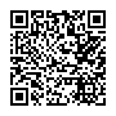 QR code for NYT687