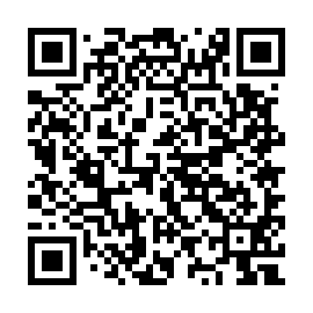 QR code for NYU591