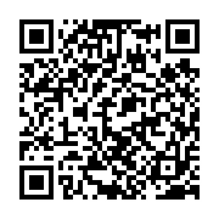 QR code for NYU613