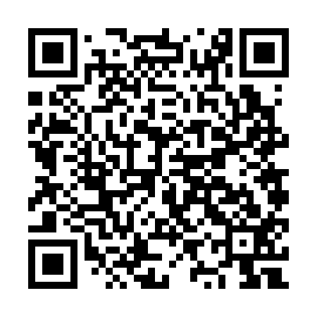 QR code for NYV313