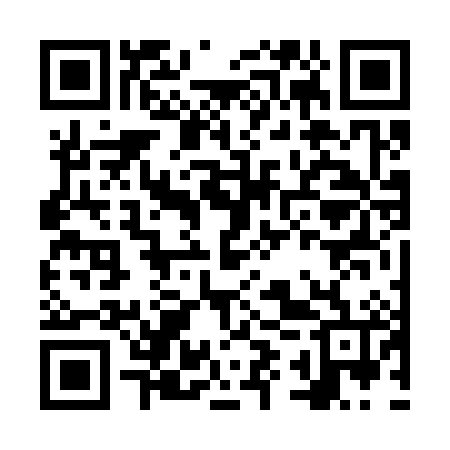 QR code for NYV386