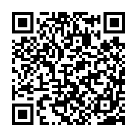 QR code for NYX617