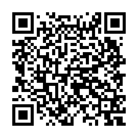 QR code for NYX660