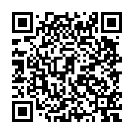 QR code for NZH411