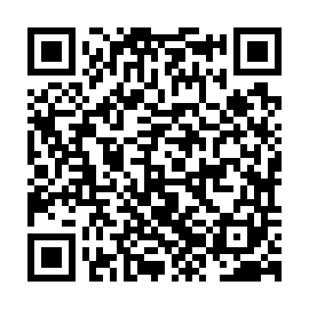 QR code for NZJ741