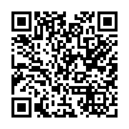 QR code for NZM383