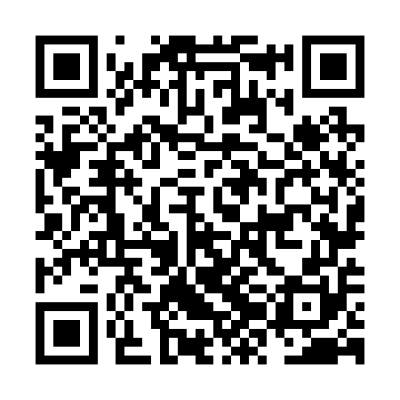 QR code for NZN250