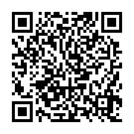 QR code for NZP336