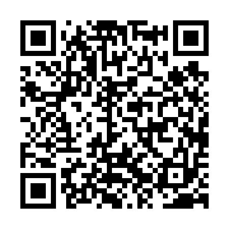 QR code for NZP613