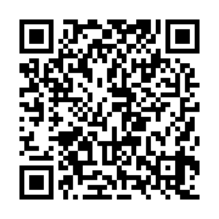 QR code for NZP939