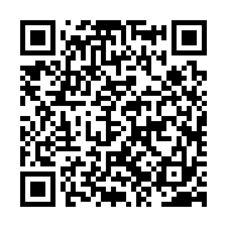 QR code for NZR333