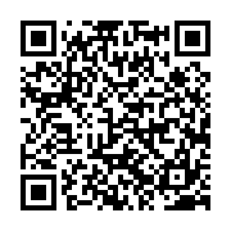 QR code for NZT137