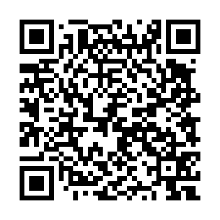 QR code for NZT475
