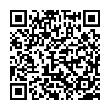 QR code for NZZ370
