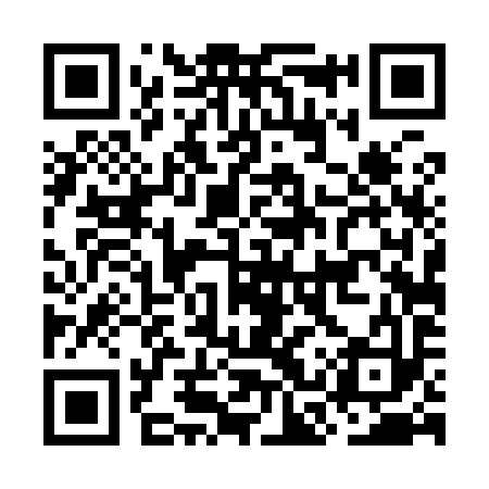 QR code for OCT993