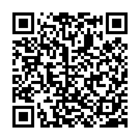 QR code for ODG401