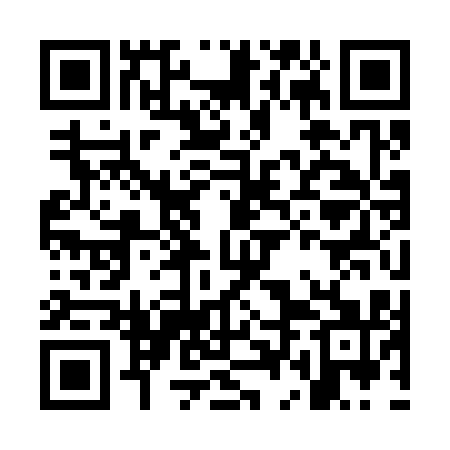 QR code for ODK311