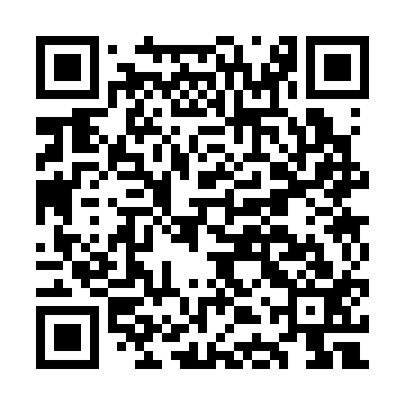 QR code for ODS313