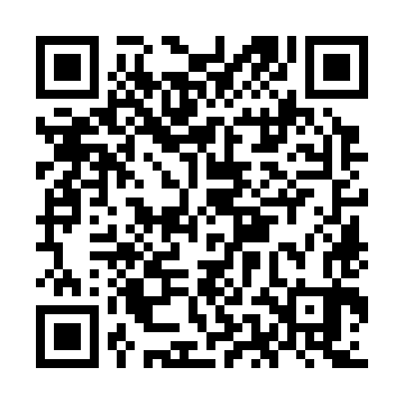 QR code for OEO383