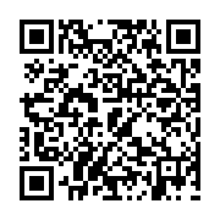 QR code for OEO384