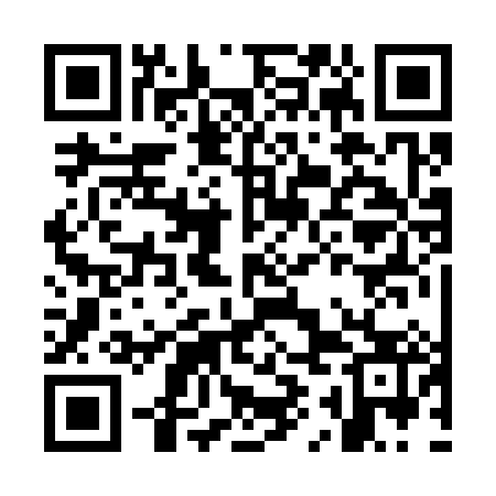 QR code for OIB383