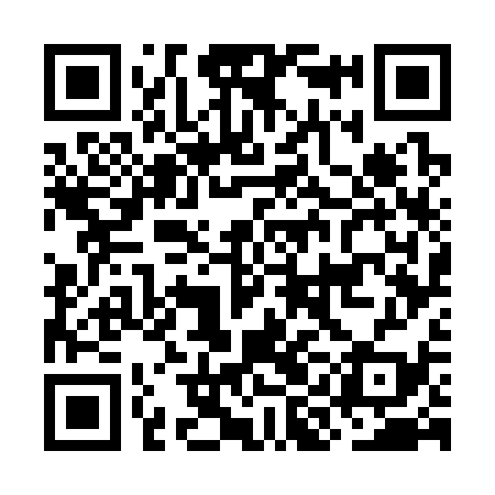 QR code for OIG339