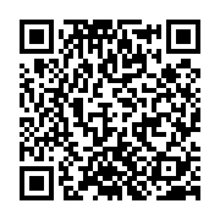 QR code for OKO529