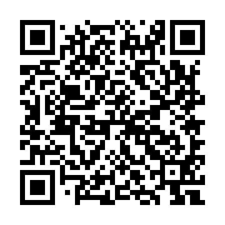 QR code for OLE991