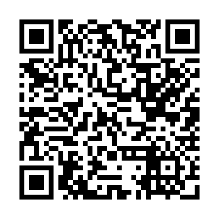 QR code for OLG336