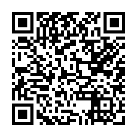 QR code for OMG381