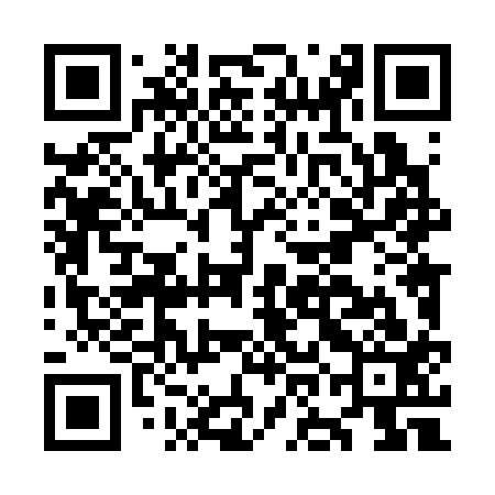 QR code for OOL313