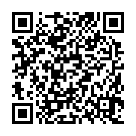 QR code for OPA384