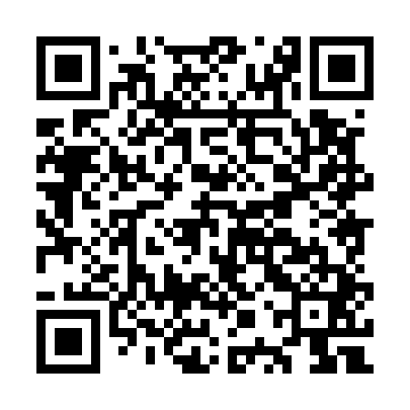 QR code for OPX541
