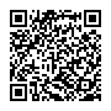 QR code for ORG519