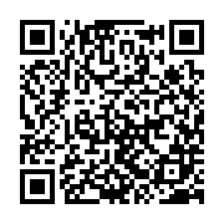 QR code for ORU382