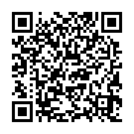 QR code for OSE333
