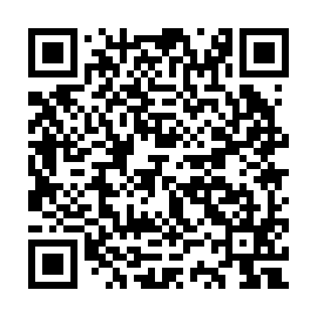 QR code for OSQ295