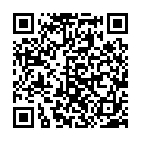 QR code for OWL333
