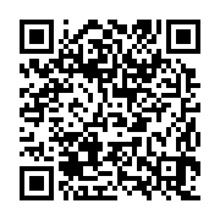 QR code for OZR383